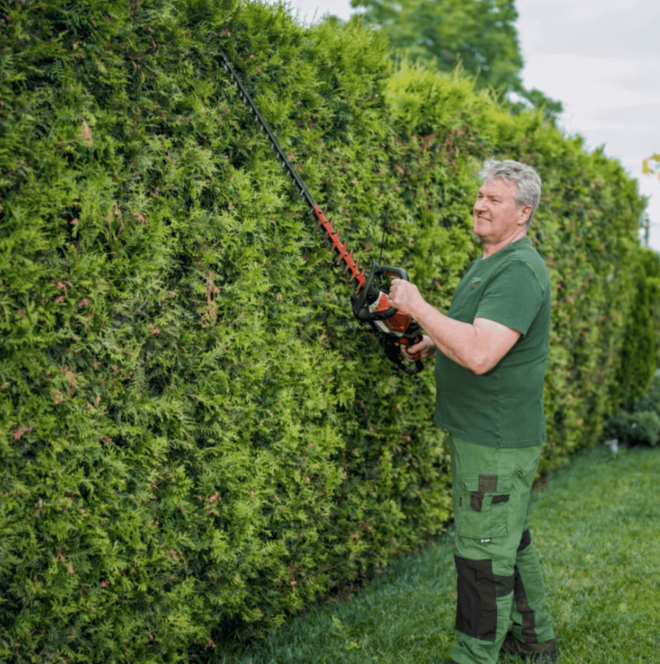 Heckenschnitt durch Gärtner in Paderborn beim Pflegeeinsatz im Garten